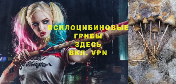 крисы Осташков