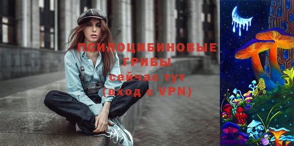 крисы Осташков