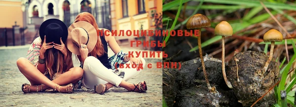 крисы Остров