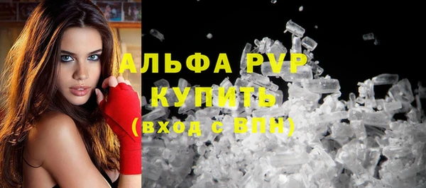 крисы Осташков