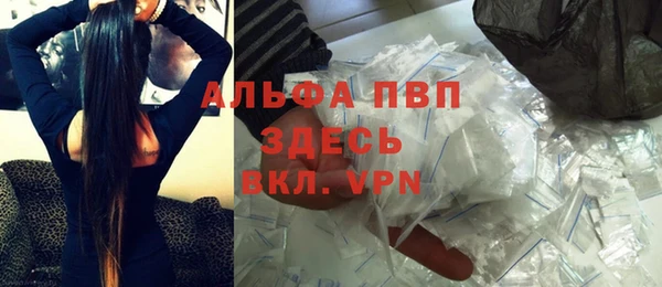 крисы Осташков