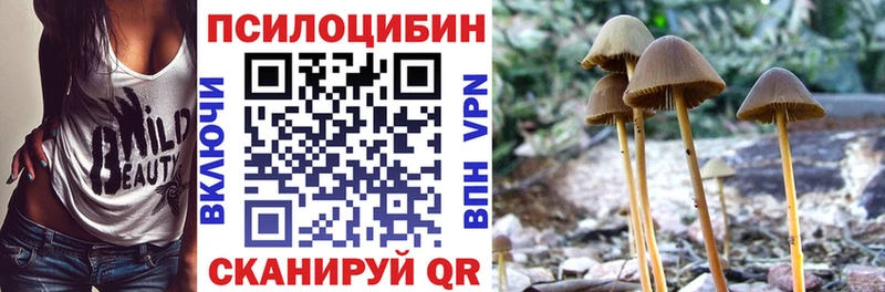 Купить где  Нахабино  Псилоцибиновые грибы Magic Shrooms 